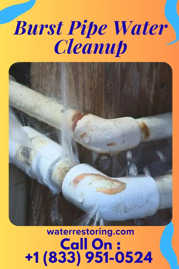 Burst Pipe Water Cleanup in Gaastra, MI