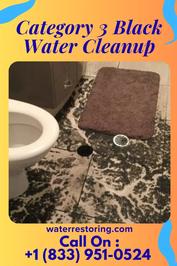 Category 3 Black Water Cleanup in Gaastra, MI