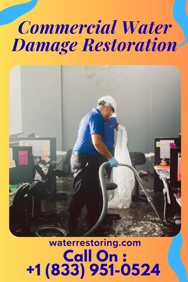 Commercial Water Damage Restoration in Gaastra, MI