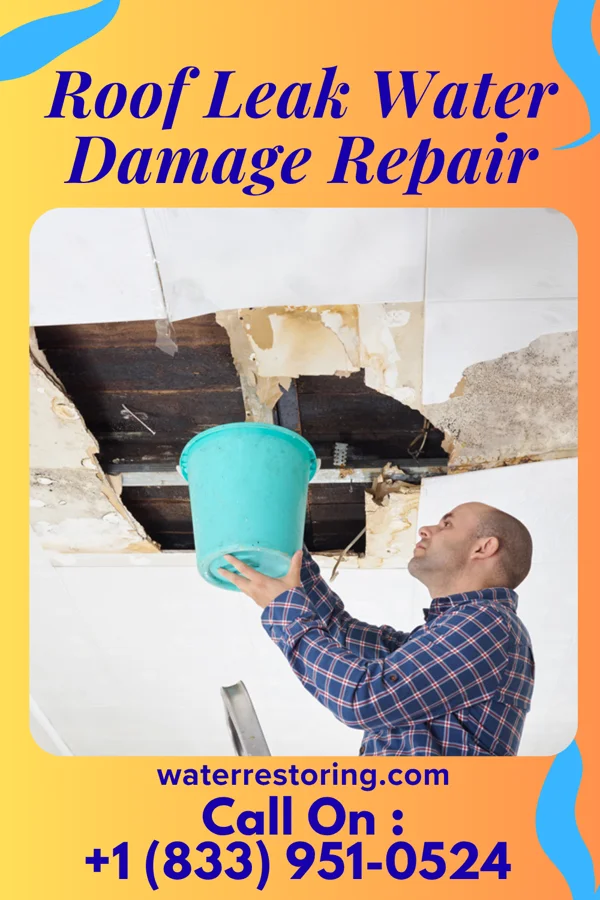 Roof Leak Water Damage Repair in Gaastra, MI
